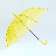 60cm ���顼�ӥˡ��뻱������6�ܥ��åȡ�