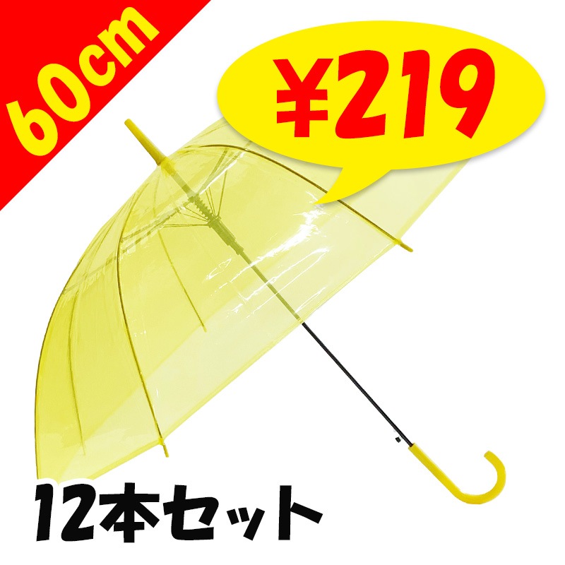 60cm ���顼�ӥˡ��뻱������12�ܥ��åȡ�