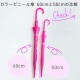 60cm ���顼�ӥˡ��뻱������12�ܥ��åȡ�
