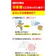 60cm ���顼�ӥˡ��뻱������12�ܥ��åȡ�