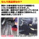 60cm ���顼�ӥˡ��뻱������12�ܥ��åȡ�