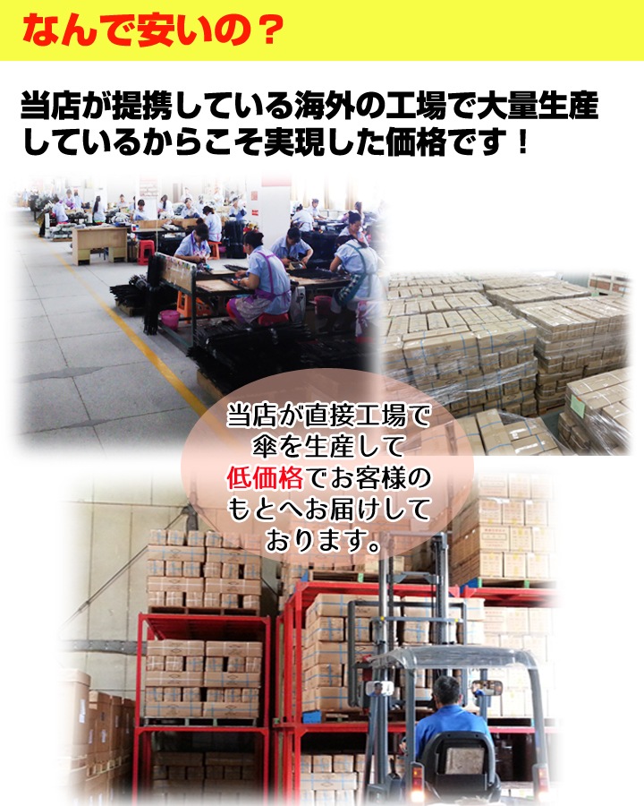 ӥˡ뻱50cm顼 󥸡300ܥå(5c/s)