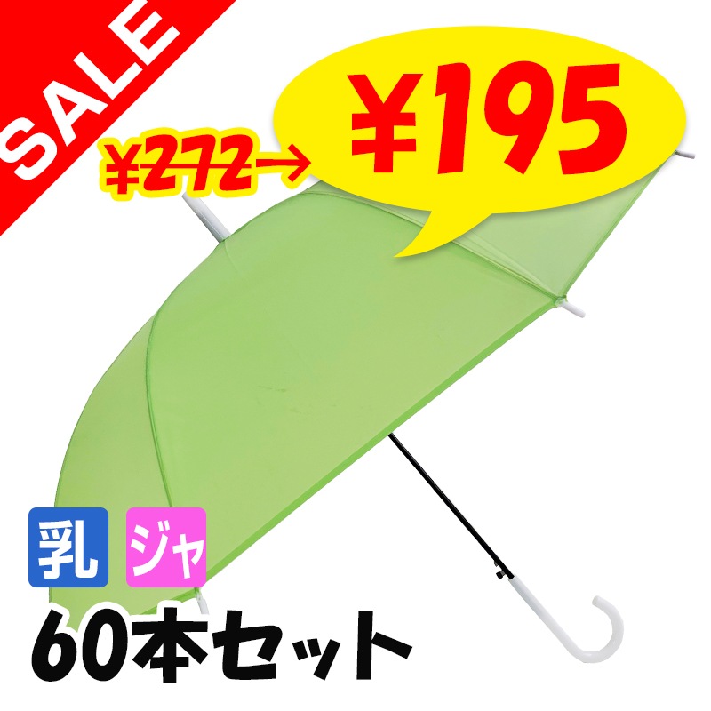 SALE ̲ʡۡ¨Ǽ60cm ܥ顼 ꡼ 60ܥå(1c/s) ߥ륭顼ӥˡ뻱Ʃ