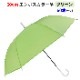 SALE ̲ʡۡ¨Ǽ60cm ܥ顼 ꡼ 60ܥå(1c/s) ߥ륭顼ӥˡ뻱Ʃ