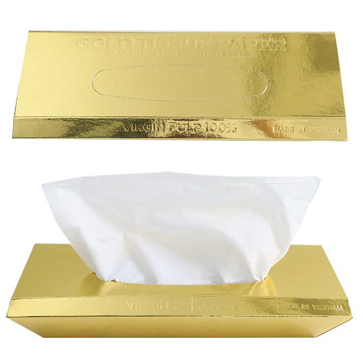 ������ɥС��ƥ��å��� 300��(3c/s)(TS-004)