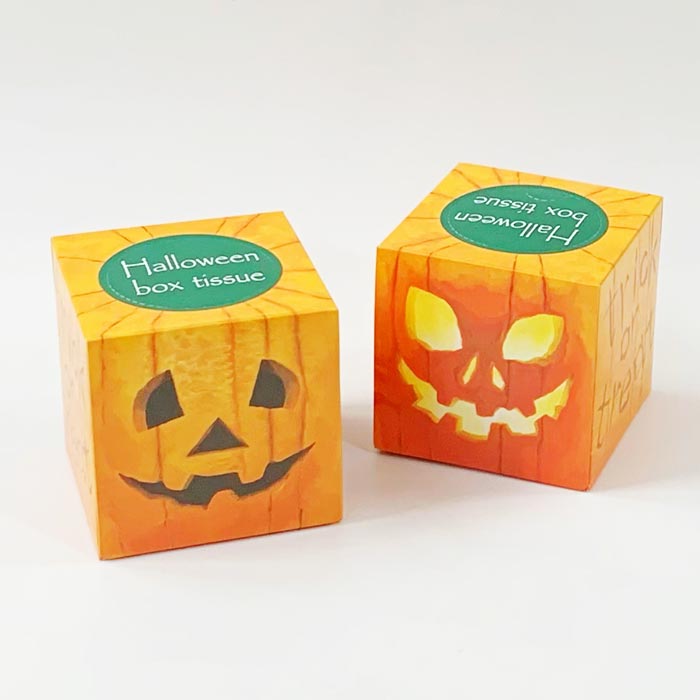 �ϥ������󥵥�����BOX�ƥ��å��� 30W100��(1c/s)