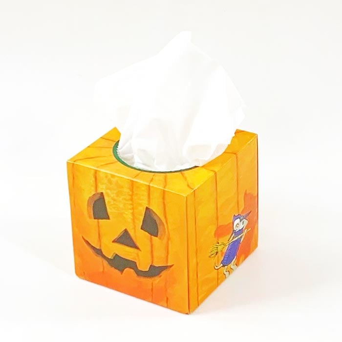 �ϥ������󥵥�����BOX�ƥ��å��� 30W100��(1c/s)