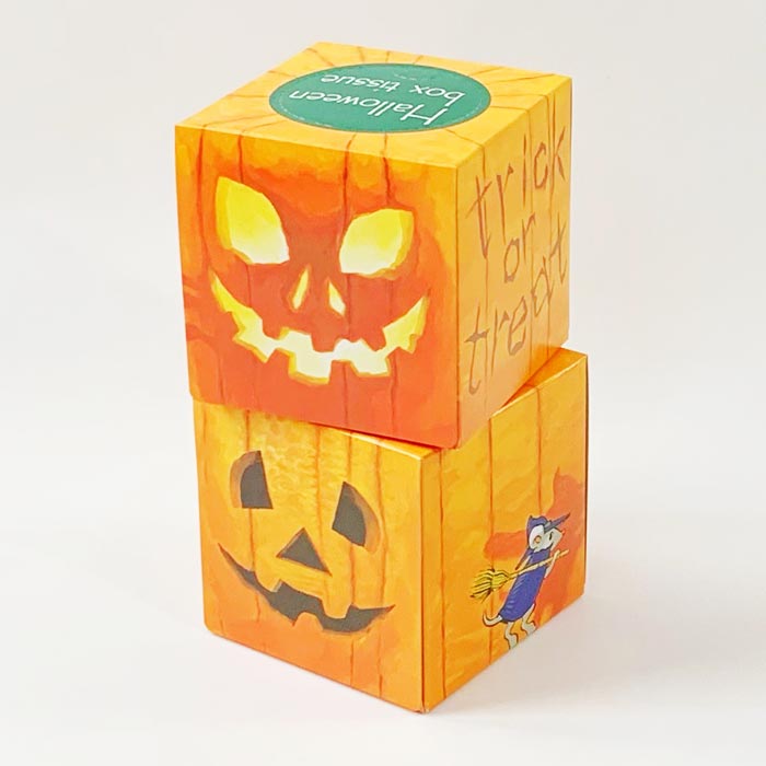 �ϥ������󥵥�����BOX�ƥ��å��� 30W100��(1c/s)