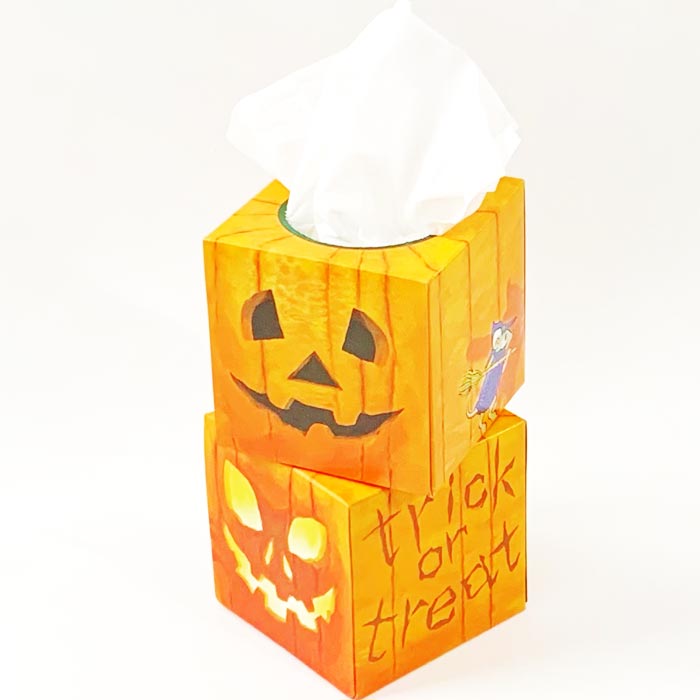 �ϥ������󥵥�����BOX�ƥ��å��� 30W100��(1c/s)