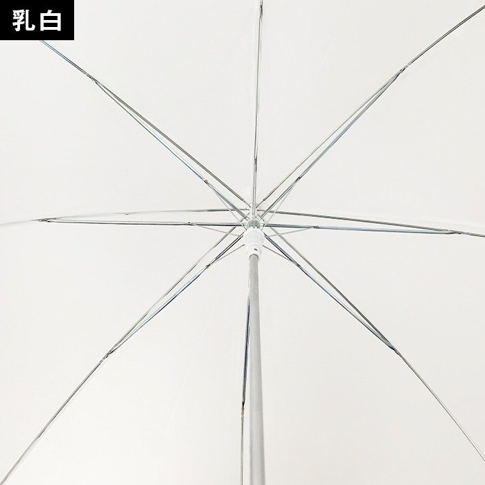 ̾ 60cmӥˡ뻱  (ߣ)