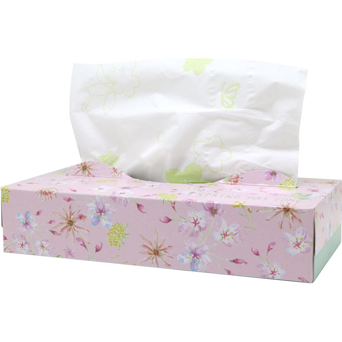 2025 ץ󥰥ƥå 120W 60ĥå(1c/s)(20120135) ƥåܥå