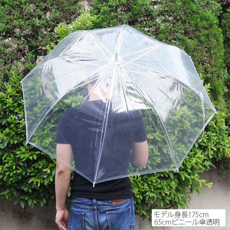 65cm�ӥˡ��뻱(���祵����) �����׼� Ʃ�� ��������긵�� 96�ܥ��å�(48�ܡ�2) #508