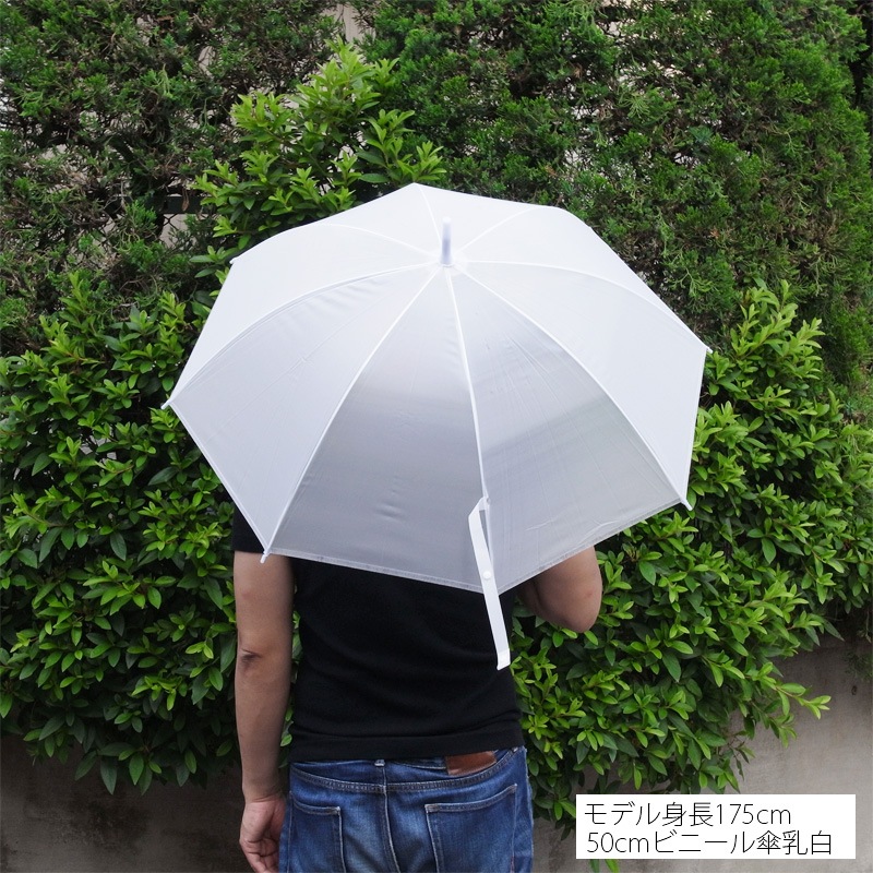 ��¨Ǽ��50cm �ӥˡ��뻱 ���ܹ� �곫�������� ���� 600�ܥ��åȡ�10��������