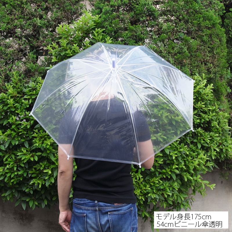 ��55cm�ӥˡ��뻱�� Ʃ���ʥ��ꥢ�ˡ������׼���12�ܥ��å�