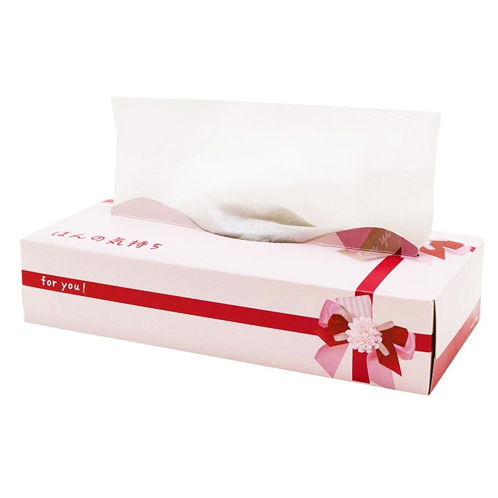 ほんの気持ち BOXティッシュ 120W 120個セット(2c/s) 【20120143