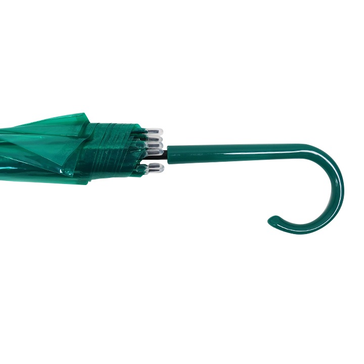 �ӥˡ��뻱50cm�����顼 �� 30�ܥ��å�(0.5c/s) 