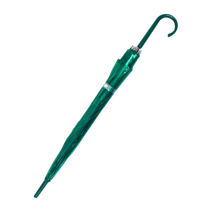 �ӥˡ��뻱50cm�����顼 �� 30�ܥ��å�(0.5c/s) 