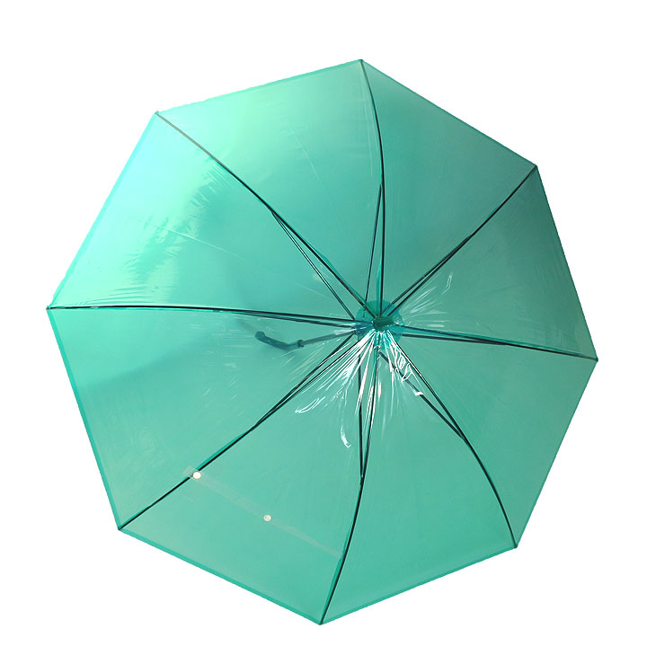 �ӥˡ��뻱50cm�����顼 �� 30�ܥ��å�(0.5c/s) 