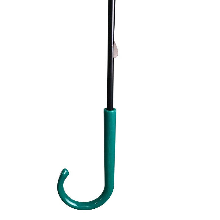 �ӥˡ��뻱50cm�����顼 �� 30�ܥ��å�(0.5c/s) 