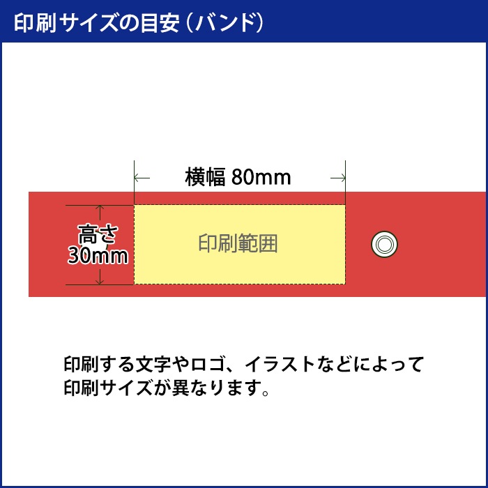 �Х�� ̾������� �ݥ���ȥ��顼�ӥˡ��뻱 60cm �֡ߥۥ磻�� ������ (�����ߣ�����)