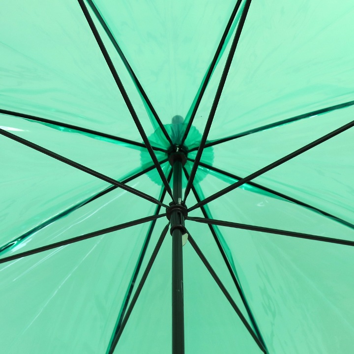 ӥˡ뻱50cm顼  300ܥå(5c/s) 