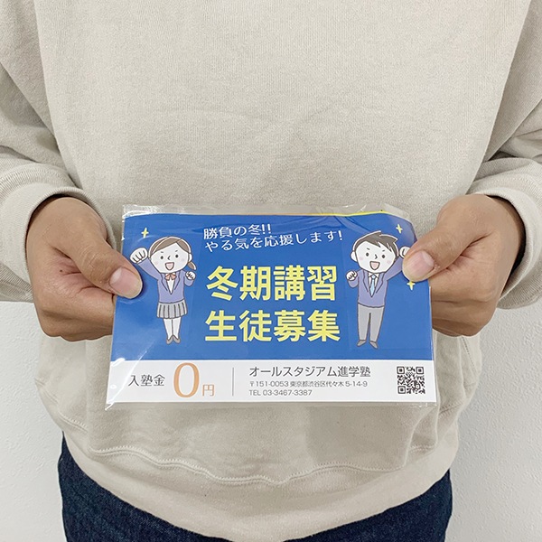 ���ꥸ�ʥ���¥�������ʥ��饷������������ Ž��ʤ� �쥮��顼 600�ĥ��å�