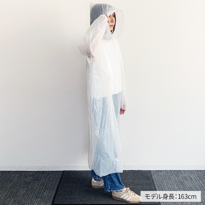 �쥤�󥳡��� �ץ륪���С������� ����� 100�ĥ��å�(0.5c/s)