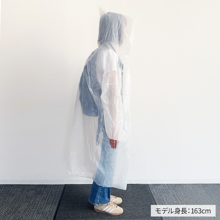 �쥤�󥳡��� �ץ륪���С������� ����� 100�ĥ��å�(0.5c/s)