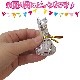 ����� �꡼�ե��꡼ 230g 16�ޥ��å�(1c/s)