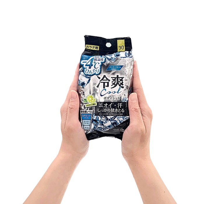 HYALO AID ボディシート 　（6枚✖️5袋) 4箱　どう HYALO AID ボディシート （6枚✖️5袋) 4箱 どう 北の快適工房