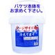 Ķ���󥰥����륿���� �顼�������� �䤨�Ƥޤ� �Х��ĥ����� ���� 6�ĥ��å�(1c/s) ���� �ܥǥ���������