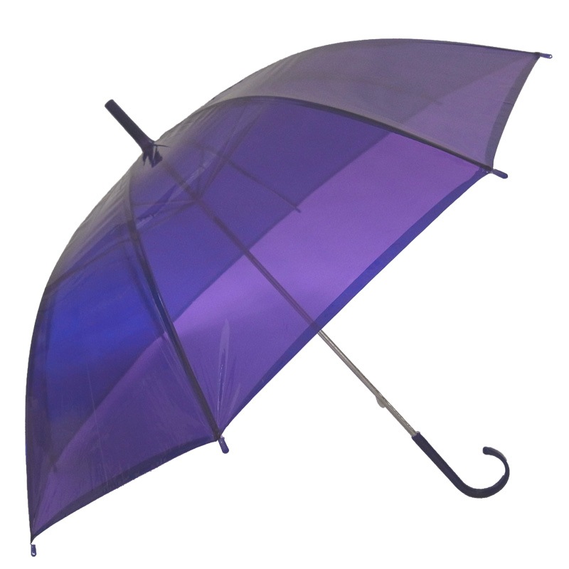 50cm���顼�ӥˡ��뻱 1�ܡʥ���ץ��ѡˢ��������Բ�#502