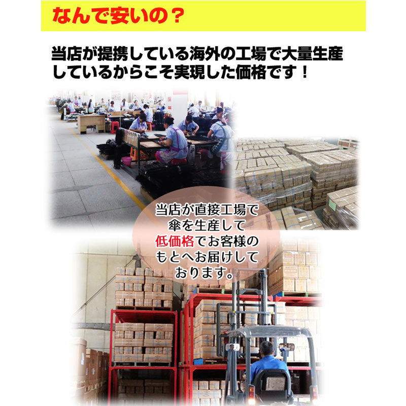 60cm 顼ӥˡ뻱硡1ܥåȡ