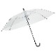 �ڽ����50cm �ӥˡ��뻱 6�ܹ� �곫�������� Ʃ�� 6�ܥ��å�