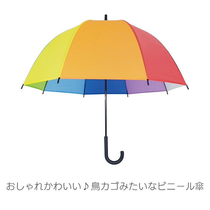 �쥤��ܡ�����֥�� �٥�ɡ��� 65cm 30�ܥ��å� (1c/s)(90209599)