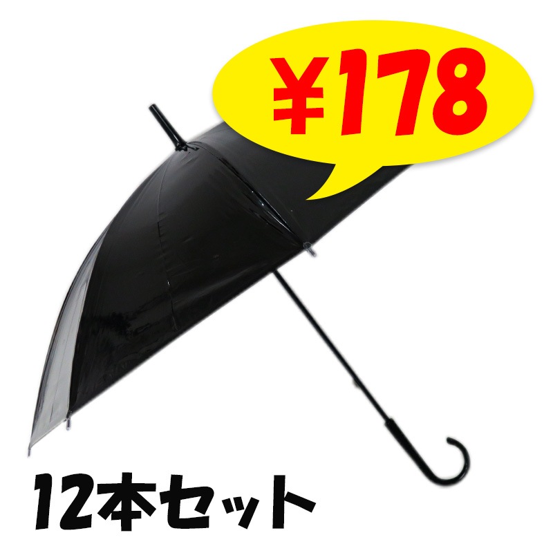 ӥˡ뻱50cm顼 12ܥå