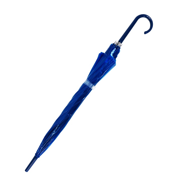 �ӥˡ��뻱50cm�����顼 �ġʥ֥롼�� 1�ܥ��å�