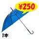 �ӥˡ��뻱50cm�����顼 �ġʥ֥롼�� 1�ܥ��å�
