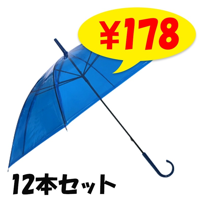 ӥˡ뻱50cm 顼 ġʥ֥롼 12ܥå