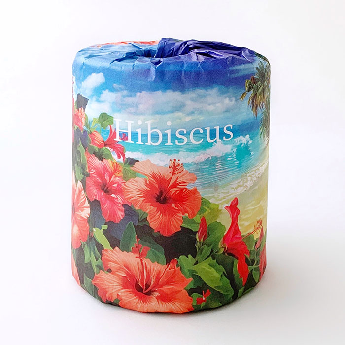 ϥӥ ȥåȥڡѡ 1R 100ĥå(1c/s)