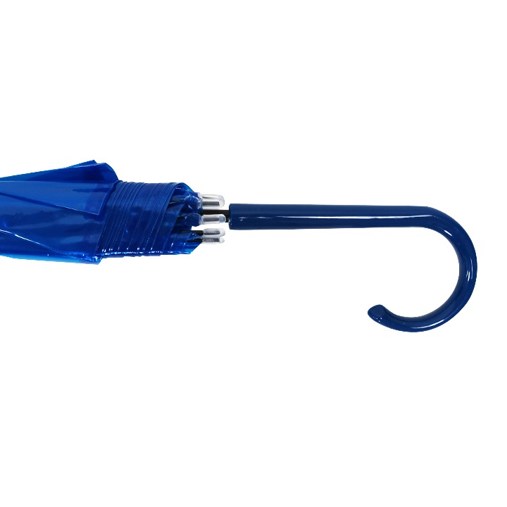 ӥˡ뻱50cm 顼 ġʥ֥롼 30ܥå(0.5c/s) 