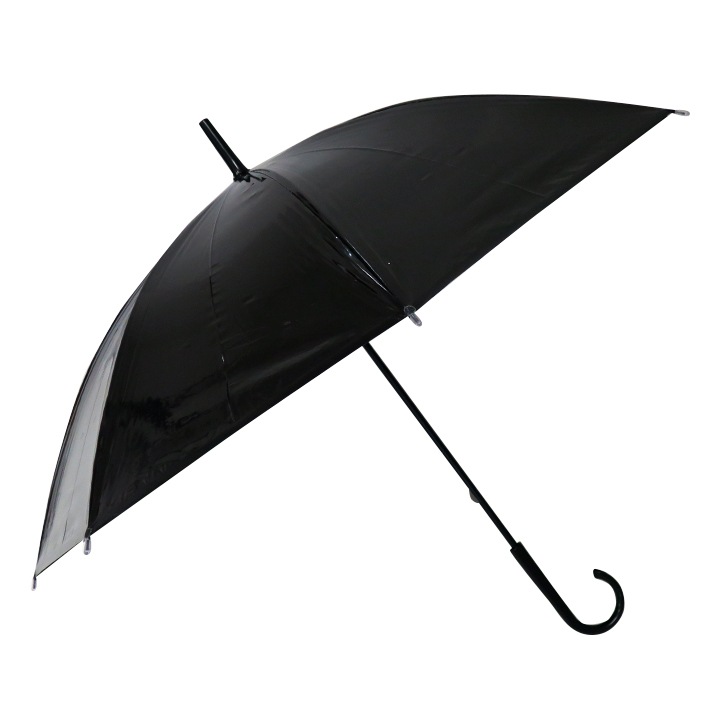 �ӥˡ��뻱50cm�����顼 ����300�ܥ��å�(5c/s)