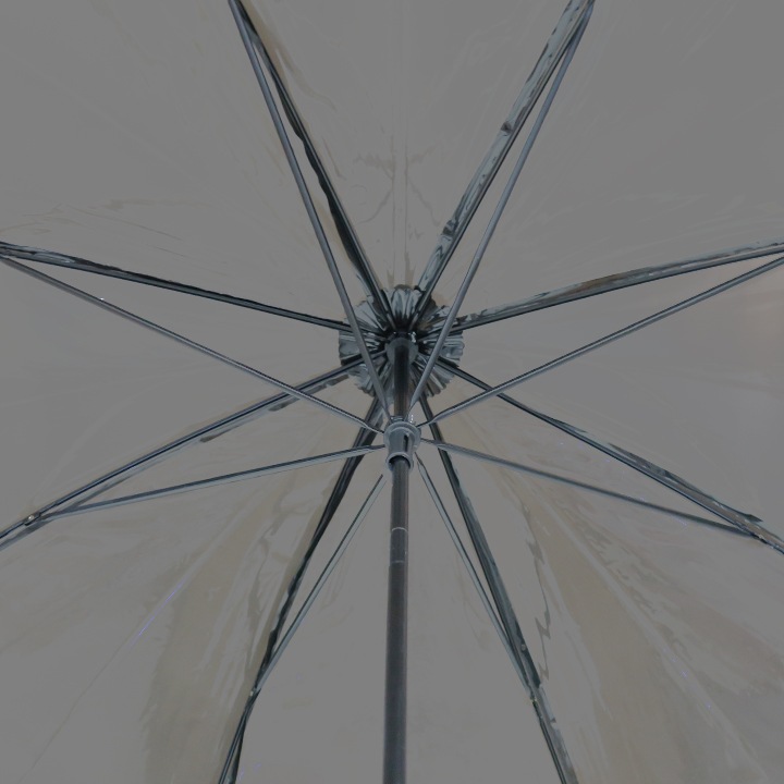 �ӥˡ��뻱50cm�����顼 ����300�ܥ��å�(5c/s)