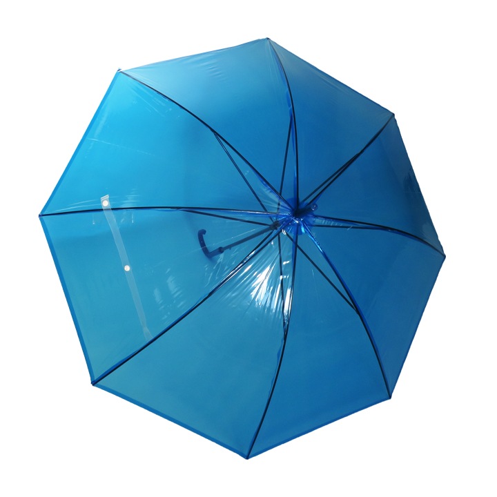 �ӥˡ��뻱50cm ���顼 �ġʥ֥롼�� 60�ܥ��å�(1c/s) 