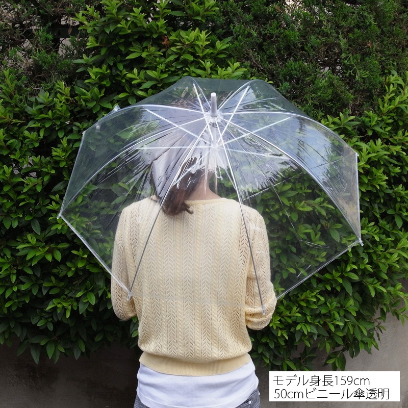 �ӥˡ��뻱50cm Ʃ�� ���� �곫���� 600�ܥ��å�(10c/s) #501