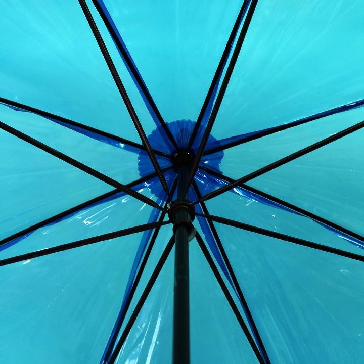 ӥˡ뻱50cm 顼 ġʥ֥롼 120ܥå(2c/s) 