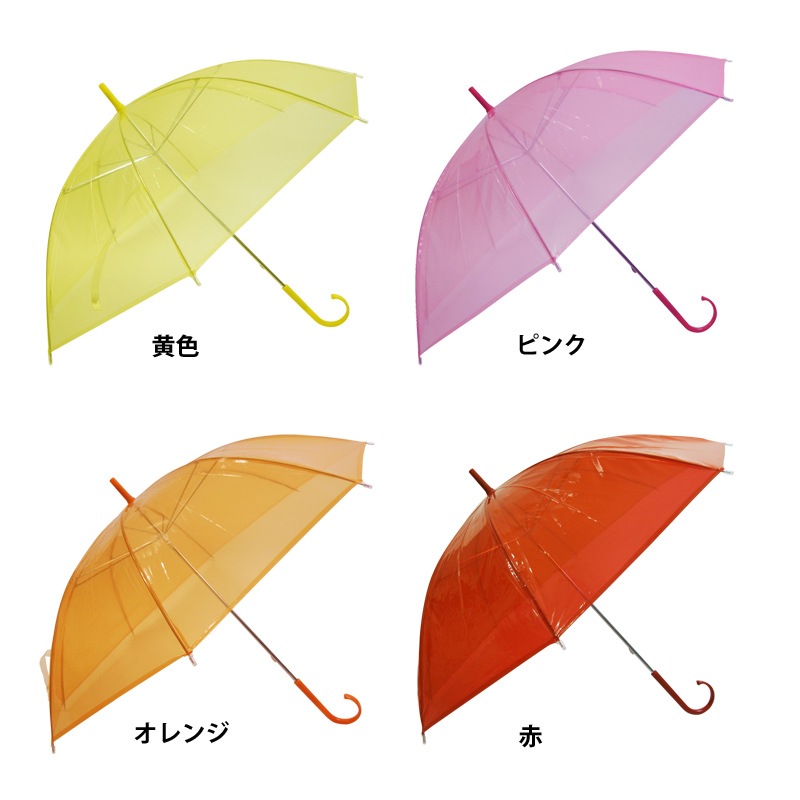 �ӥˡ��뻱50cm�����顼������12�ܥ��åȡʿ��Ȥ߹�碌��ͳ,�Х��б���