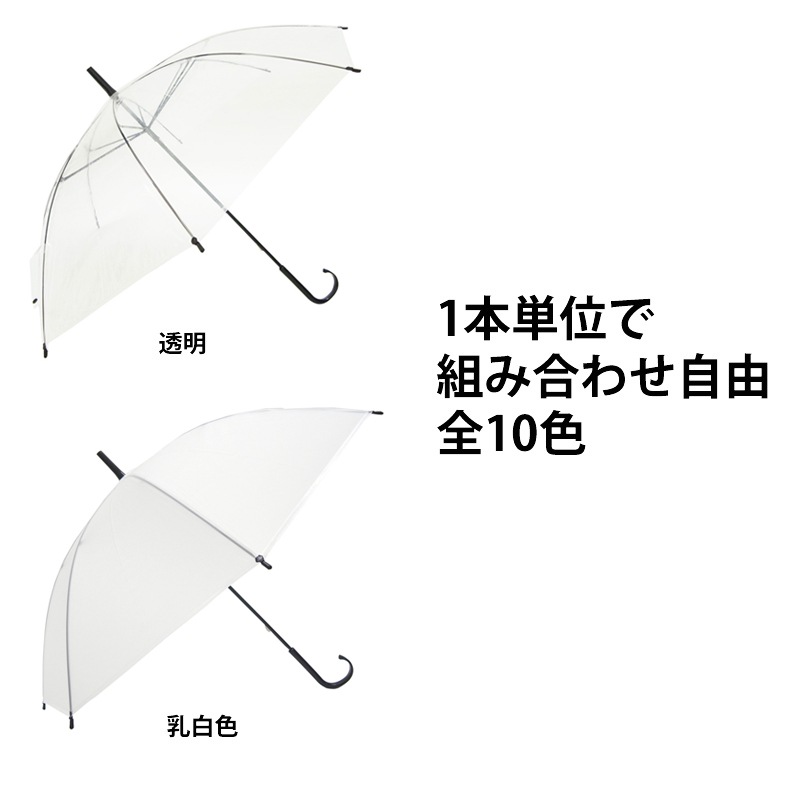 �ӥˡ��뻱50cm�����顼������12�ܥ��åȡʿ��Ȥ߹�碌��ͳ,�Х��б���