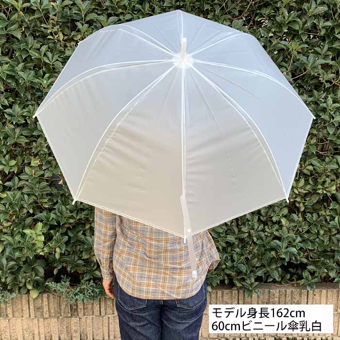 ӥˡ뻱 60cmʥܥˡס30ܥåȡ0.5c/s