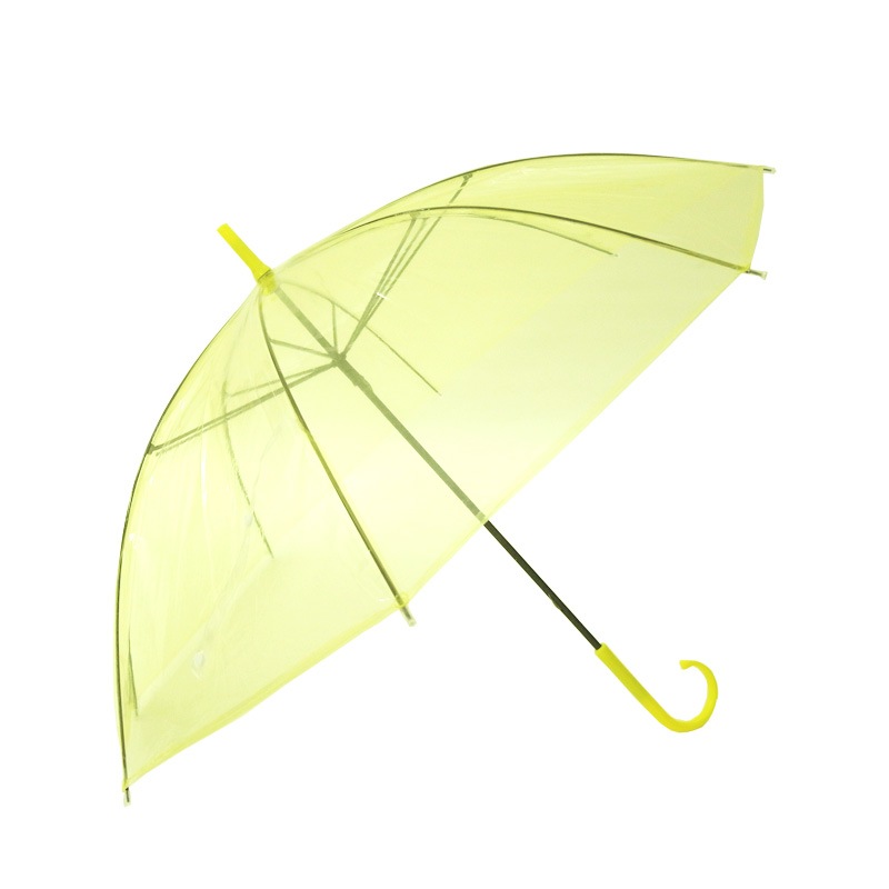 �ӥˡ��뻱50cm�����顼 �����ʥ��������ˡ�6�ܥ��å�